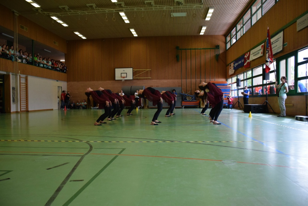 Bild (237)